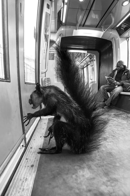 Ne mets pas tes mains sur les portes, tu risques de&nbsp;te faire pincer tr&egrave;s fort.