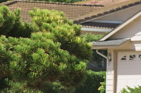 Il ne faut surtout pas approcher ou toucher ces petites b&ecirc;tes - elles sont de retour dans les jardins