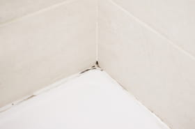 Les fain&eacute;ants adorent cette m&eacute;thode&nbsp;: pas de vinaigre blanc ni de Javel et &ccedil;a fait briller les joints de la salle de bains