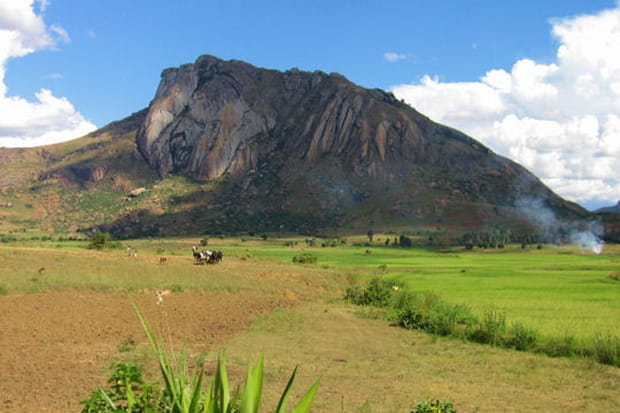 Colororado malgache