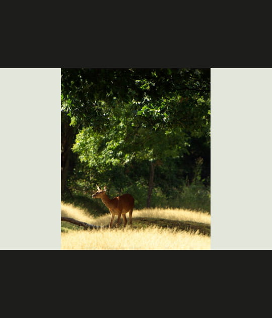 Derni&egrave;res chaleurs d'&eacute;t&eacute;....