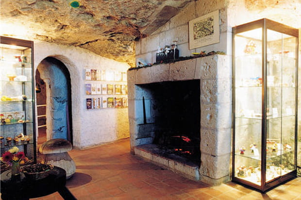 Collection de champignons