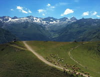 Des racines et des ailes : Passion patrimoine : les Pyrénées au coeur