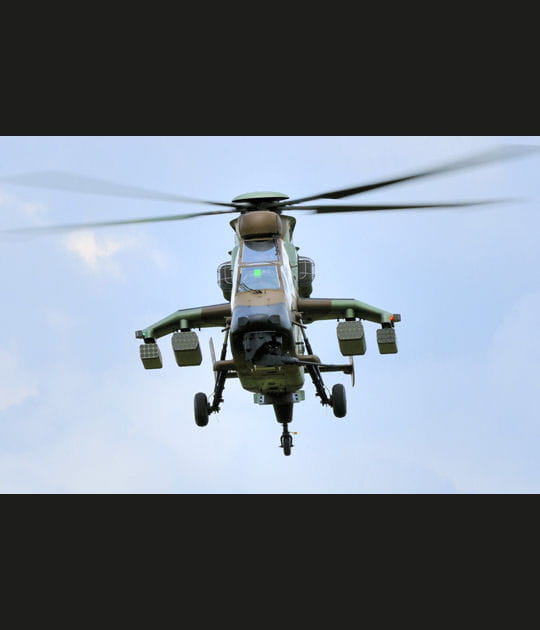 L'&oelig;il (vert) du Tigre