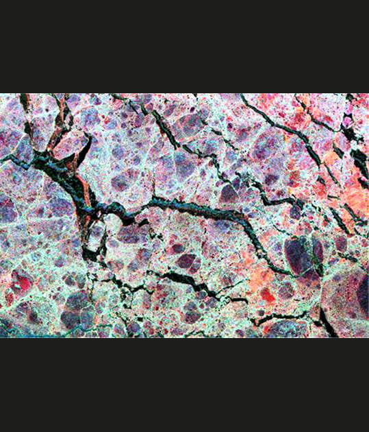 Pris dans les glaces