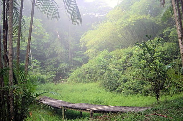 La Guyane : Un bout de France en Amazonie