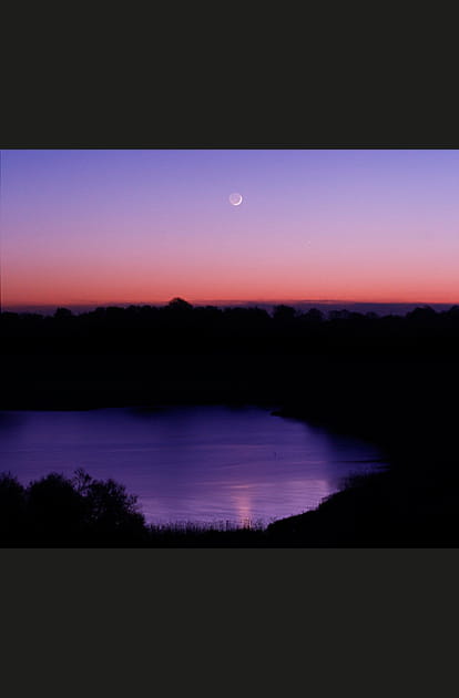 Croissant de lune dans un ciel mauve