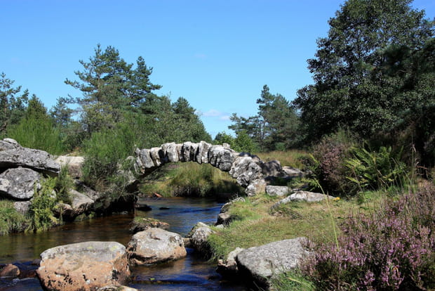Le parc naturel régional de Millevaches en Limousin