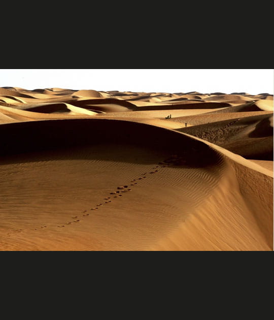 Chemin dans les dunes