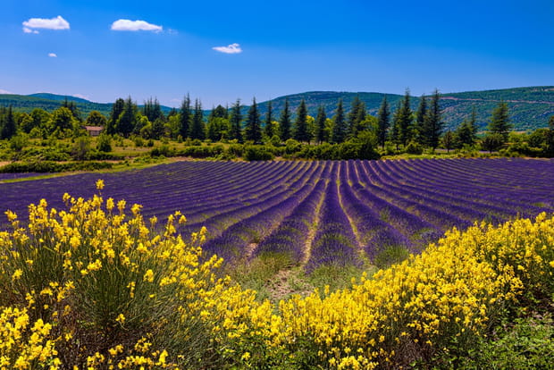 Le pays de Sault, un magnifique camaïeu de bleus