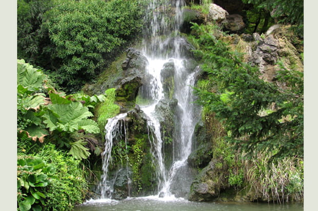 Cascade dans la verdure