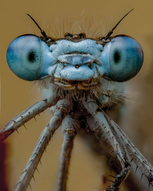 Les yeux dans les yeux