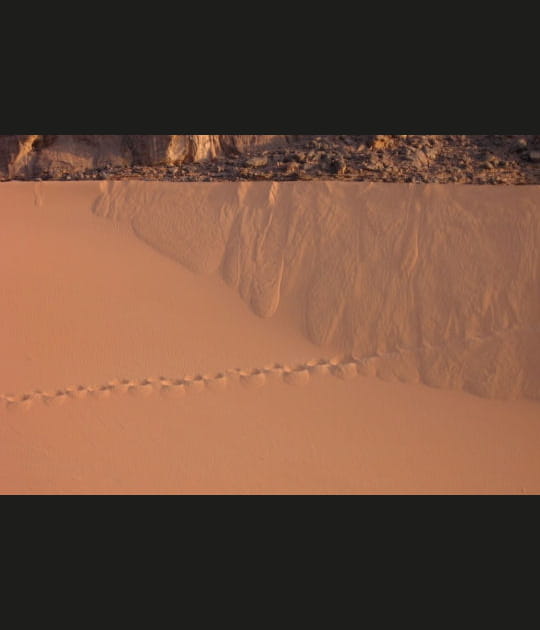 Le Tassili n'Ajjer, Alg&eacute;rie