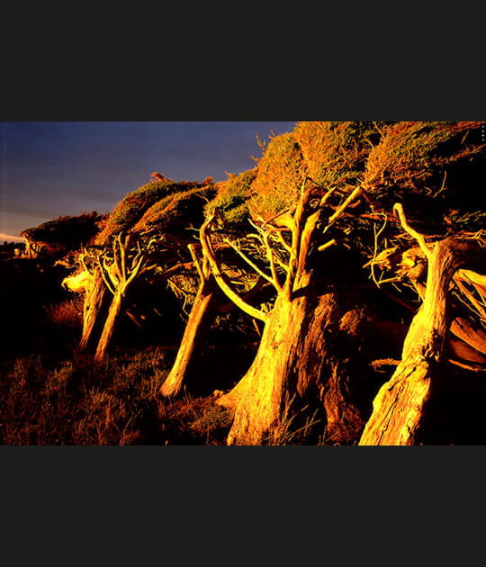 Un climat temp&eacute;r&eacute;