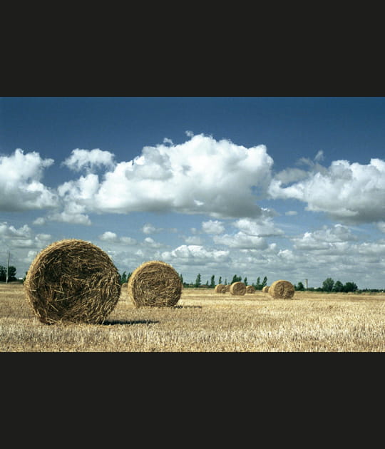 Moisson termin&eacute;e