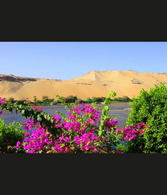 Le Nil, Egypte