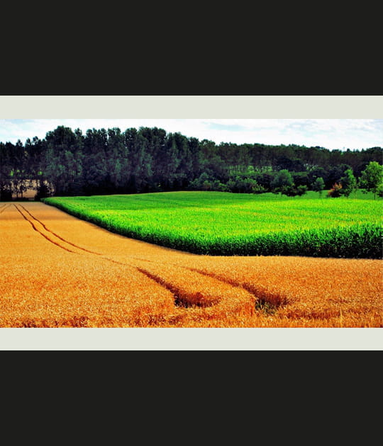 Paysage du terroir