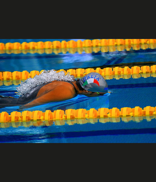 Une &eacute;caille d'eau