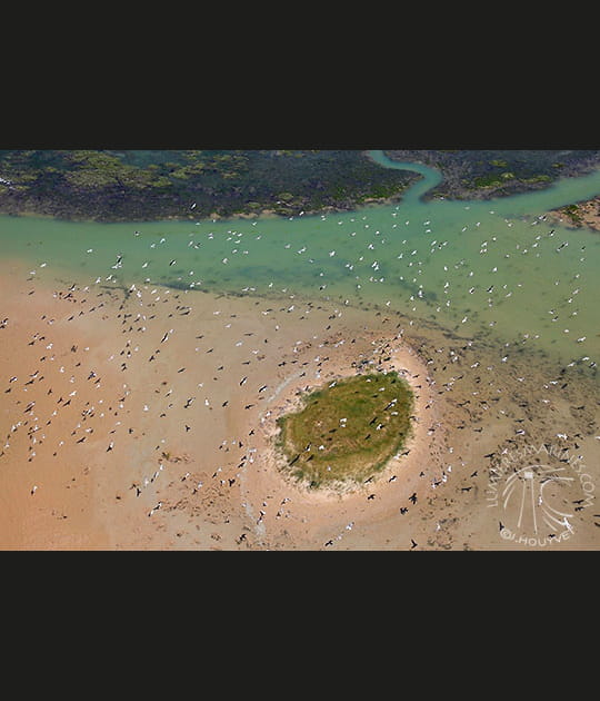 Succession de havres