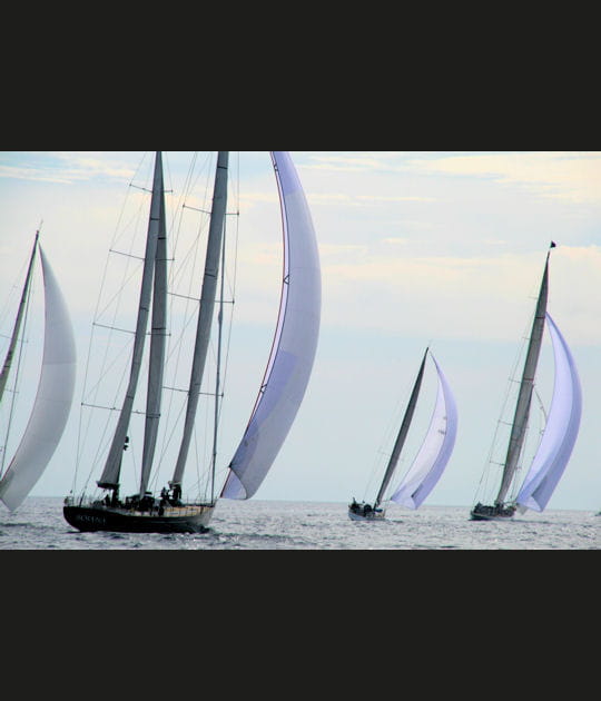 Ballet de voiles sur la mer