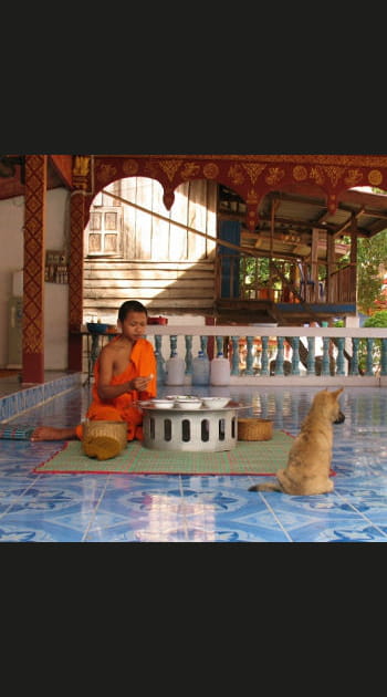 Au Laos pour retrouver la s&eacute;r&eacute;nit&eacute;