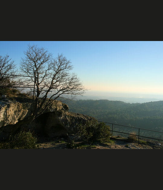 Vue panoramique