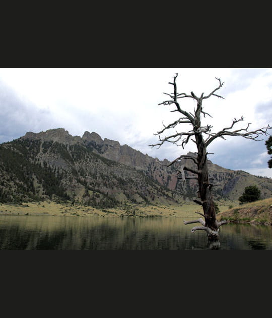 Montana&nbsp;: la source du fleuve