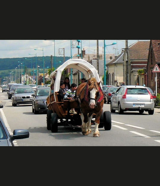 Retour dans le pass&eacute;