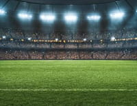 Football : Bundesliga - Fribourg / Bayer Leverkusen