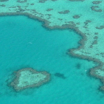 la grande barrière de corail depuis le ciel