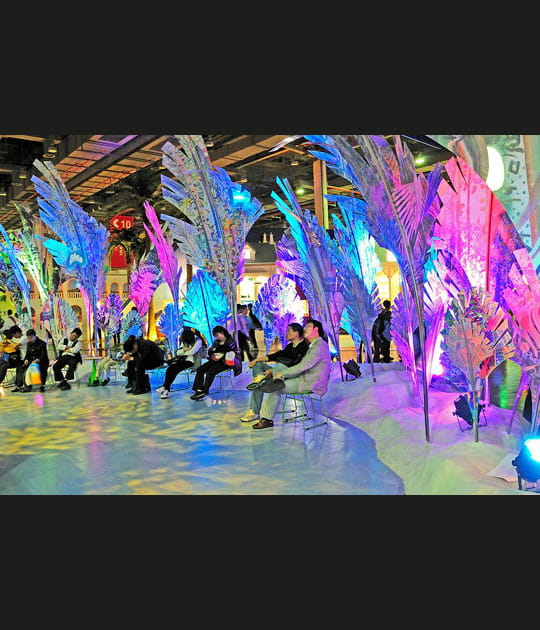 Le d&eacute;veloppement durable pour les Seychelles