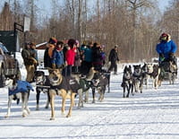 Into The Wild : Alaska