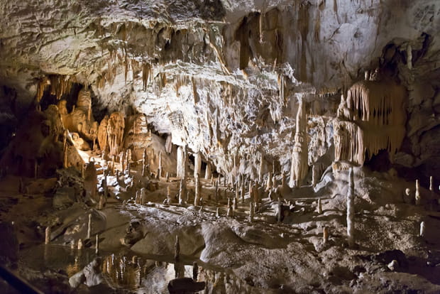 La grotte de Postojna