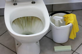 La cuvette des toilettes sera comme neuve&nbsp;: 2&nbsp;cuill&egrave;res de ce produit suffisent - pas besoin de frotter
