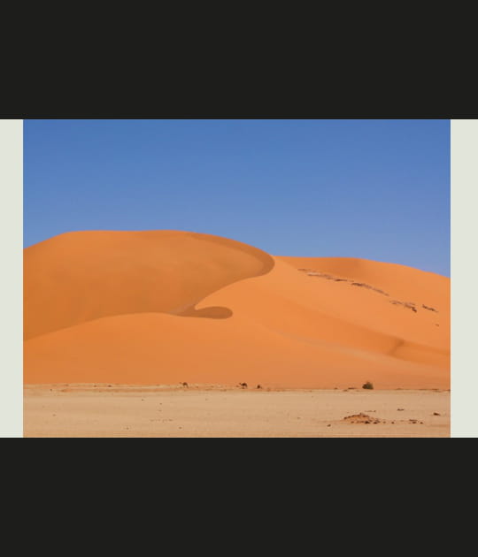 La Tadrart, la dune et les dromadaires