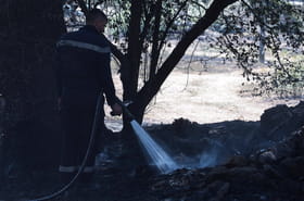 Feux de for&ecirc;ts&nbsp;: vigilance &quot;&eacute;lev&eacute;e&quot; dans ces d&eacute;partements, la prudence est de mise