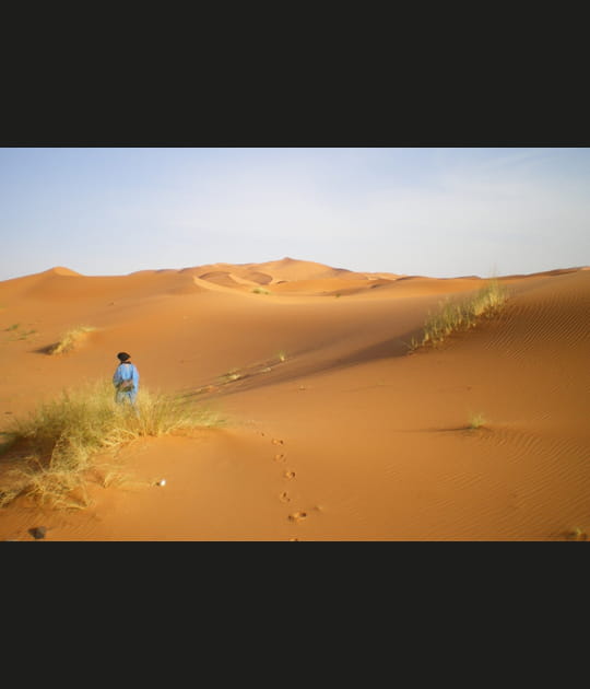 Dunes de sable