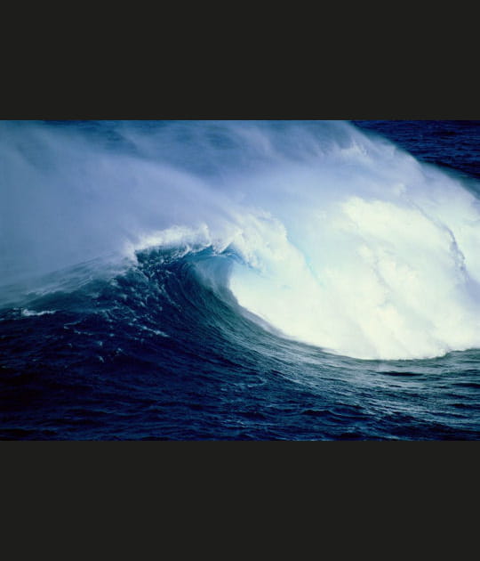 En direct de Jaws