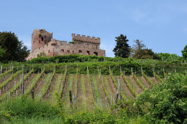 Kintzheim