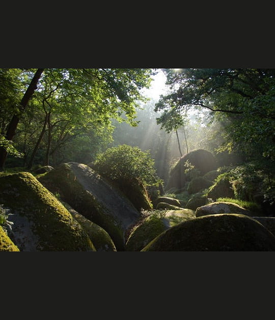 Parc naturel r&eacute;gional d'Armorique