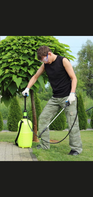 D&eacute;sherber les all&eacute;es du jardin