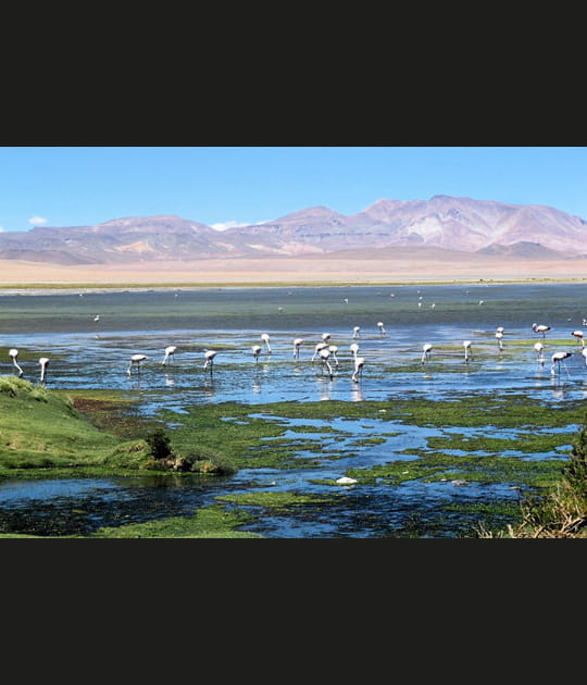 Lagune de Tara