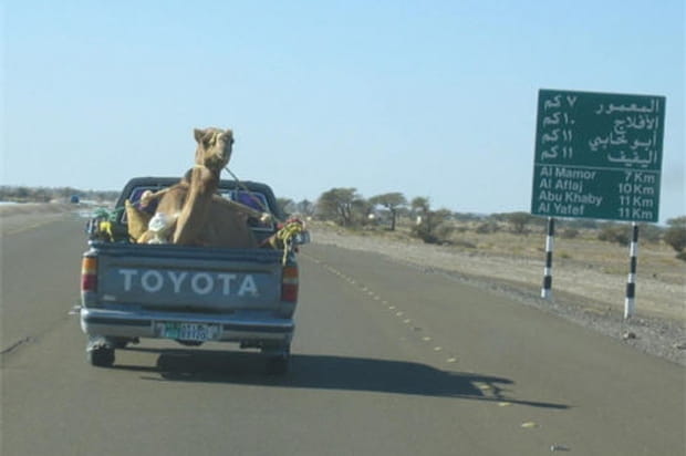 La traversée du désert à dos de... Toyota