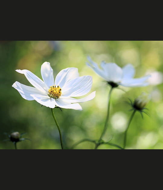 En mai la nature vous pla&icirc;t