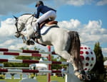 Equitation : Coupe du monde de saut d'obstacles