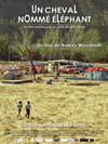 Un cheval nommé éléphant