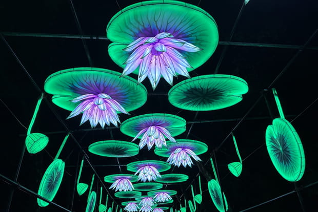 Lanternes et espèces disparues aux Animaux de Lumière du zoo de Pont-Scorff