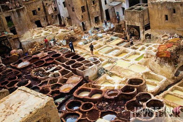 Tannages du cuir à Fès