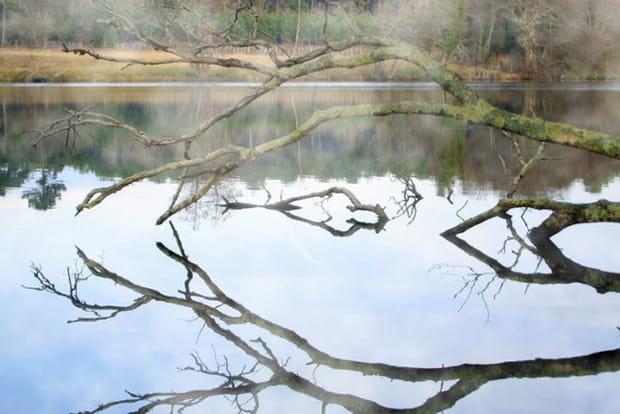 Volutes de brouillard sur l'Etang Noir