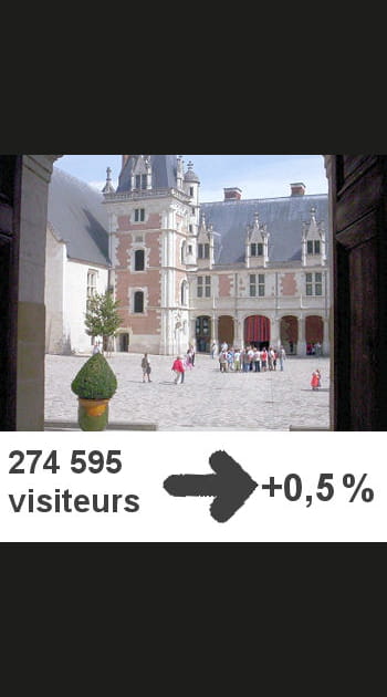 25-&nbsp;Ch&acirc;teau&nbsp;et&nbsp;mus&eacute;e&nbsp;des&nbsp;Beaux&nbsp;Arts de&nbsp;Blois